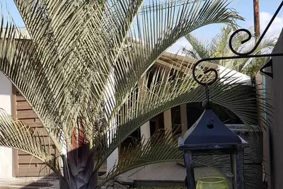 Gîte confortable avec piscine proche de la plage et des sites de Guadeloupe -