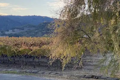 Image de Charming Cottage in the Napa Valley-Vineyard Views