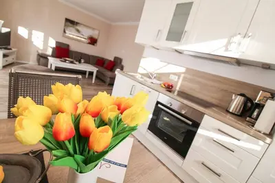 Image de Maison de vacances meublée lumineuse et de haute qualité au rez-de-chaussée