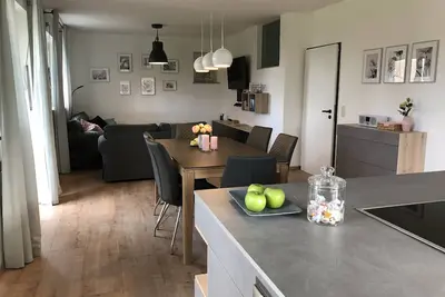 Image de Nouveau grand appartement avec jardin