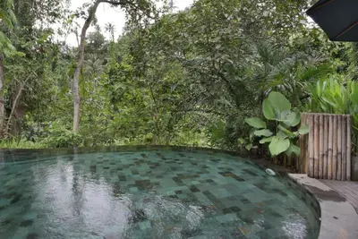 Image de Chambre Suite dans la vallée d'Ubud, atmosphère tranquille pour se détendre