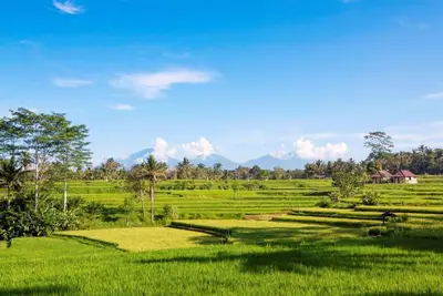 Image de Hébergement serein à Ubud Riverside, ressentez l'ambiance