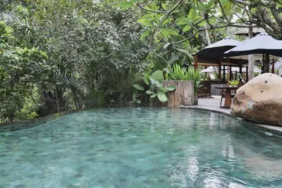 Image de Ressentez la sérénité dans la jungle, hébergement de luxe à Ubud Riverside