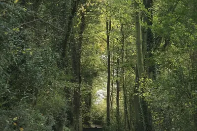 Image de La Normande - cottage Tout Confort, Pleine Nature, et Proche Mer