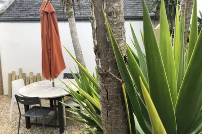 Image de Appartement 4\/6 personnes en Rez de jardin La plage à 500 mètres