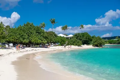 Image de Luxury Sapphire Beach Front Condo - Snorkel Crystal Cove - Paradise!