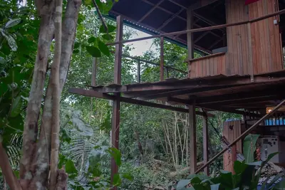 Image de Bangalô na floresta