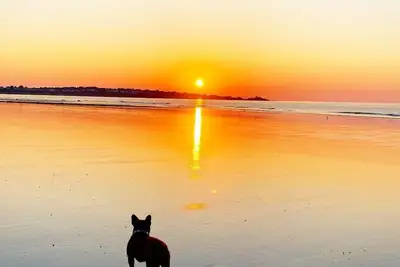Image de Steps from Longsands! Dog-Friendly, Family Beach House With Oceanfront Views!