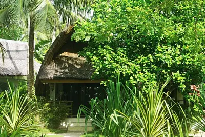 Ferra Resort Siargao