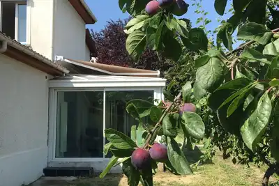 Image de Maison veranda jardin