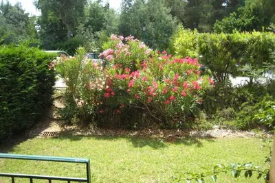 Image de Appartement T3 avec grand jardin privé, climatisation et parking