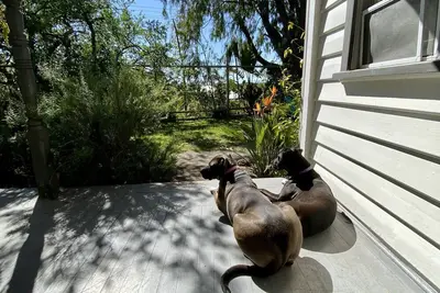 Image de 3 min walk to front beach, Woolworths - pets welcome - best location in Rye