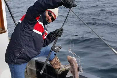 Image de pĂŞche An All-Inclusive, le canotage, le kayak aventure au large de la cĂ´te Ouest