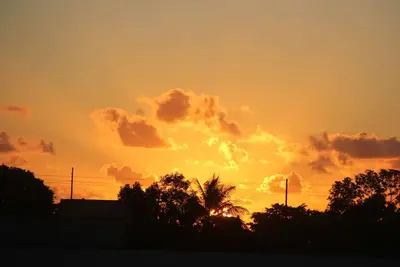 Image de Fishtail Palms Exuma