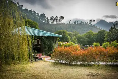Image de LivingStone Camping site Normal Tents