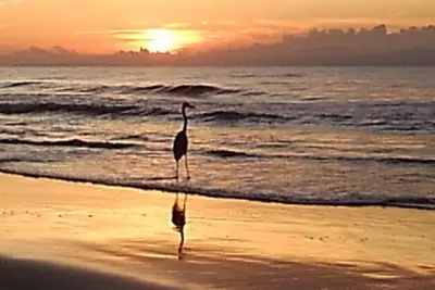 Image de Winter Getaway Condo Rental  Surfside Beach