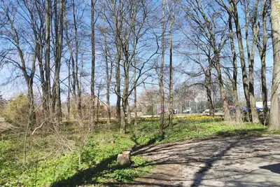 Image de Vacation apartment\/apartment for 8 guests with 120m² in Kellenhusen (2157)