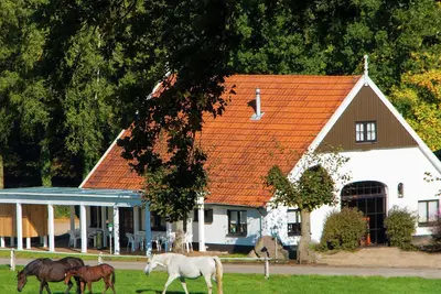 Image de Cosily Chalet With gas Fireplace in Twente