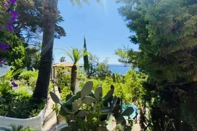 Image de Sumptuous exotic villa in Cannes