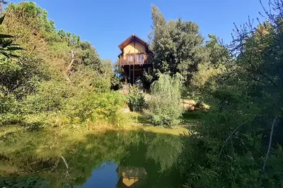 Image de Tree House Awen of La Bandita Farmhouse