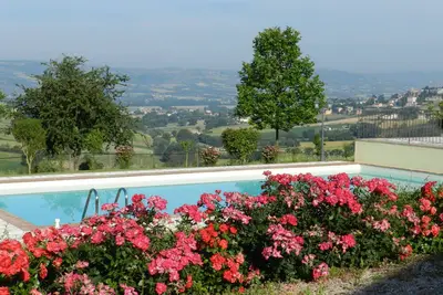 The Olive Tree Apartment
