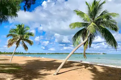 Image de Wide Secluded Beach. Pool. Rainforest. Bio Bay. Golf. Gated. No Cleaning Fee.