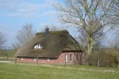 Image de Maison de vacances Augustgroden pour 1 - 4 personnes avec 2 chambres à coucher - Maison de vacances
