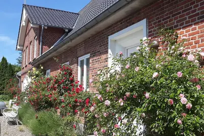 Image de Appartement de vacances Stoltebüll pour 1 - 2 personnes avec 1 chambre à coucher - Maison jumelée