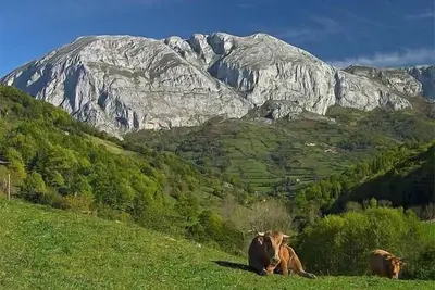 Image de Maison de vacances San Martin de Teverga pour 1 - 5 personnes avec 2 chambres Ă coucher - Maison jum