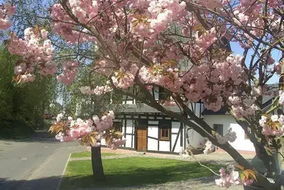 Image de Maison de vacances Beltheim pour 1 - 8 personnes avec 4 chambres à coucher - Maison de vacances