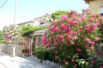 Image de Appartement de vacances Novi Vinodolski pour 1 - 5 personnes avec 2 chambres Ă coucher - Appartement