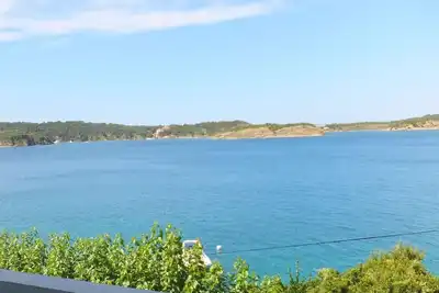 Image de Appartement de vacances Supetarska Draga pour 2 - 4 personnes avec 1 chambre Ă coucher - Logement de