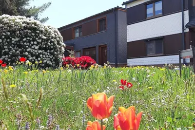 Image de Appartement de vacances Meura pour 2 - 3 personnes avec 1 chambre à coucher - Maison de vacances