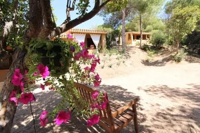 Image de Appartement de vacances Costa Paradiso pour 1 - 4 personnes avec 2 chambres Ă coucher - Ferme