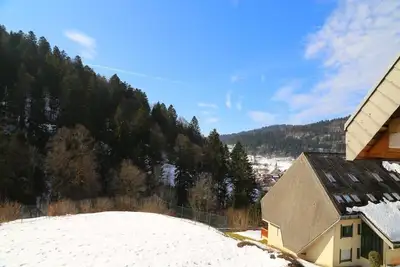 Image de Appartement de vacances Todtmoos pour 1 - 4 personnes avec 1 chambre à coucher - Logement de vacance