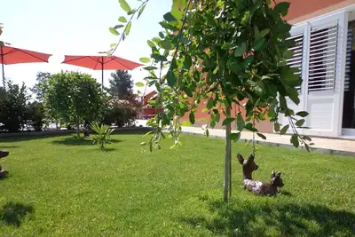 Image de Appartement de vacances Buje pour 1 - 6 personnes avec 3 chambres Ă coucher - Appartement de vacance