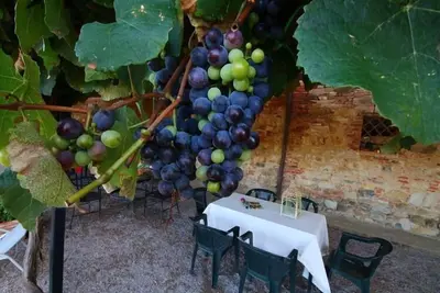 Image de Appartement de vacances Castiglione del Lago pour 1 - 6 personnes avec 2 chambres à coucher - Ferme