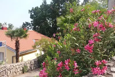 Image de Appartement de vacances Ičići pour 1 - 6 personnes avec 2 chambres à coucher - Maison de vacances