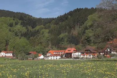 Image de Vacation apartment at the Rain in the southern Black Forest - top equipment