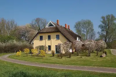 Image de Maison de vacances Puddemin pour 1 - 6 personnes avec 3 chambres à coucher - Maison mitoyenne