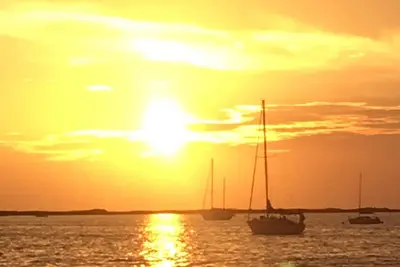 Image de Stay in Paradise