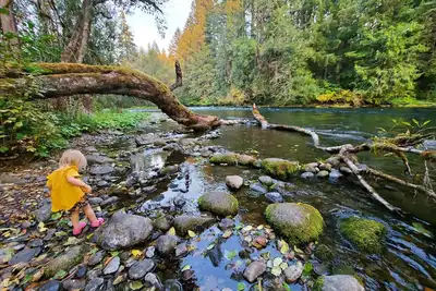 Image de The North Bank Cabin, 100ft private McKenzie Riverfront, Grill, 20min to Falls