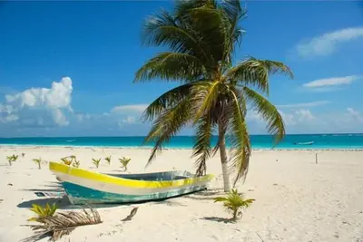 Family friendly Secluded Beach House