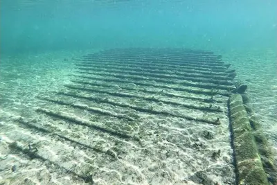 Image de Spring Diving Capital. Walk to Ruth Springs and 1 mile from Troy.
