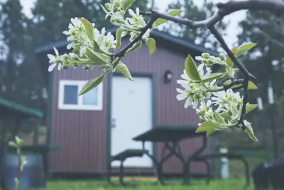 Image de Brewery Cabin in Hill City