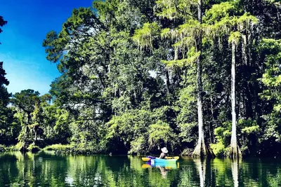 Image de Wakulla River Retreat- Manatee Cottage