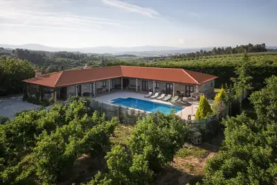 Image de Feel Discovery Maçã Douro