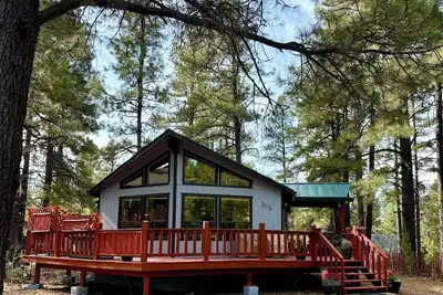 Charming 2Br 2Ba cabin with big windows in the tall pines.
