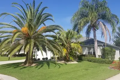 Image de Palm Paradise  - Great Location with a Courtesy Golf Cart