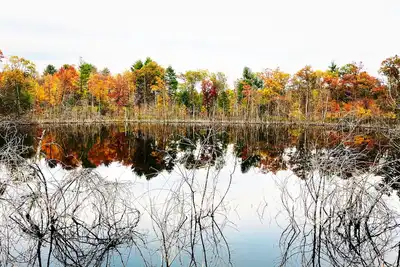 Image de Private, boat, kayak, fish, Bbq, Atv, hike, Huge Deck, pets, Nordic Mt- ski, tube, bike
